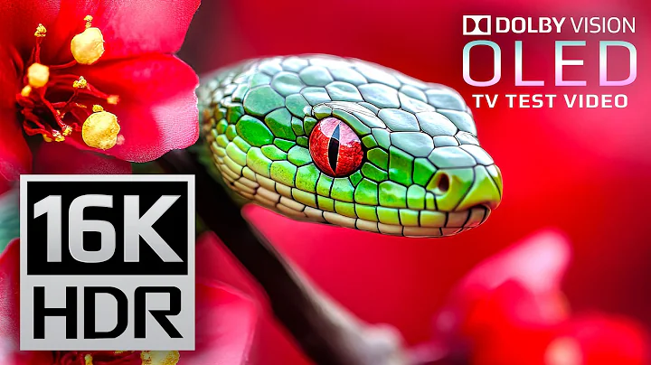 Realism Redefined: 16K HDR 120 FPS Dolby Vision Demo (Ultra HD)