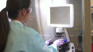 Cell Culture Video: Step-by-Step Guide to Passaging Cells