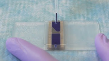 Cell Culture Video: Step-by-Step Guide to Passaging Cells