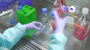 Cell Culture Video: Step-by-Step Guide to Passaging Cells