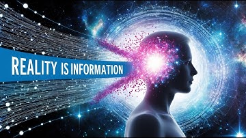 What If Reality Is Just Information