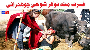 Number daar Ghairat Mand Nokar Chohdhrani New Funny Video | Most Comedy Funny Video | You Tv Hd 2025