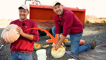 How to Get Basically FREE Pumpkin Seeds From EXPENSIVE Pumpkins