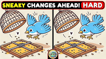 🐢🧩 Find The Difference | Are You Sharp Enough? 🧩🐢 | Quizonaut Turtle