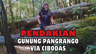 SENSASI Pendakian gunung pangrango via cibodas