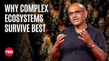 How to Measure the Planet’s Heartbeat | Yadvinder Malhi | TED