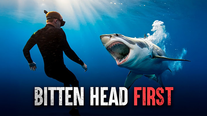 The Scariest Shark Encounters Ever Caught