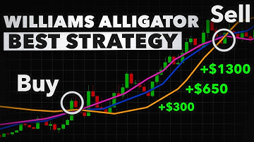 Williams Alligator Trading Strategy: My Most Profitable Trend System