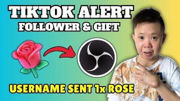 How to Add TikTok Alerts in OBS Studio Using Tikfinity (2025 Tutorial)
