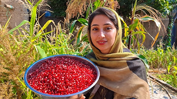 Iranian Village Life: Turning Pomegranates into Gold – The Art of Food Preservation