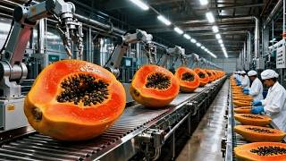 Download lagu Inside A Billion-Dollar Papaya Factory: From Fresh Fruit To Finished Bottle | 4K resolution