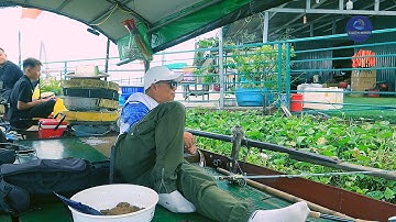 Một Ngày Câu Cá Trên Sông Hồng – Mồi Thiên Minh Hiệu Quả Bất Ngờ