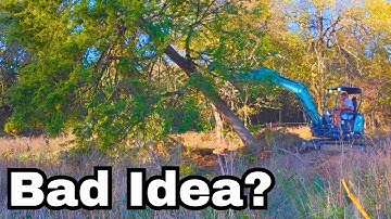 Watch This Before You Try Pushing Down a Tree with a Mini Excavator