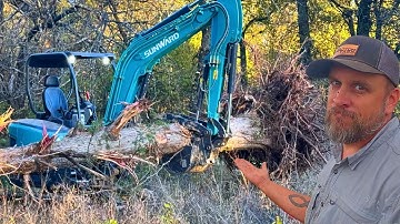 Watch This Before You Try Pushing Down a Tree with a Mini Excavator