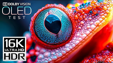 OLED Test - 16K VIDEO ULTRA HD | 16K HDR Dolby Vision (4K/8K TV)