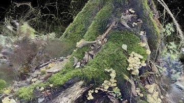 Max Cooper & Rob Clouth - A Moment Set Aside (Official Video by Dimitri Thouzery)