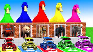 5 Giant Duck Cartoon, Cow, Mammoth, Elephant, Lion, Paint Wild Animals Crossing Fountain Animation