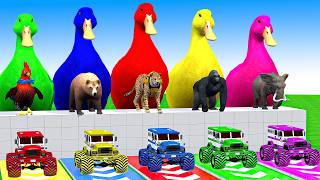 5 Giant Duck Cartoon, Cow, Mammoth, Elephant, Lion, Paint Wild Animals Crossing Fountain Animation