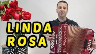 Música tradicional portuguesa: Linda Rosa 🪗 [CONCERTINA | DIATONIC ACCORDION]