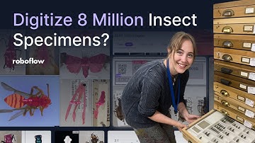 How The Field Museum Unlocks New Research Possibilities with Vision AI