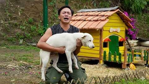 #12 CEO Trieu Hoa Collapsed: Bursting into tears in the middle of the wilderness after the tragedy!