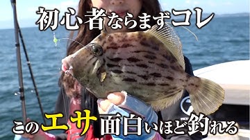 カワハギ釣りを超簡単にする凄エサがあると知ってしまった