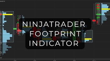 NinjaTrader FootPrint Indicator Overview