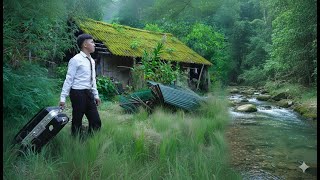 CEO Berhenti dari Kehidupan Kota untuk Menemukan Kedamaian Restorasi Solo Kabin Hutan Berlumut