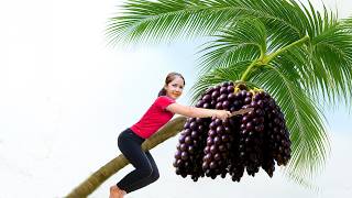 Harvesting 10000 Palm Fruit Goes To Market Sell,Cornbread Recipe | Diem - Free Bushcraft