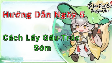 Ta Làm Tông Sư Trong Tiên Môn: Hướng Dẫn Ngày 5 - Cách Lấy Gấu Trúc Nguyên Nhuận Sớm