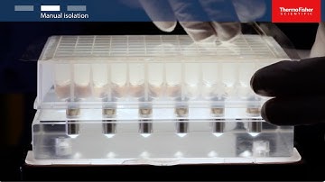 Plasmid DNA Purification: Quick Guide to Molecular-Grade Prep