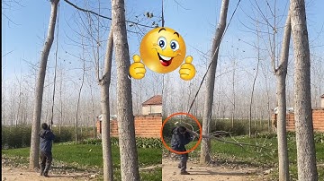 “Video Hài Hước Vui Nhộn: Những Pha Gây Cười Đỉnh Cao Không Thể Bỏ Lỡ”