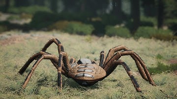 How I Survived as a Giant Spider...