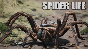 I Dominated The Server as a Giant Spider...