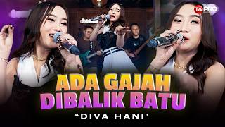 Download lagu Diva Hani - There's an Elephant Behind the Stone - Ee Ee Aa There's Someone Approaching Me (Live ...
