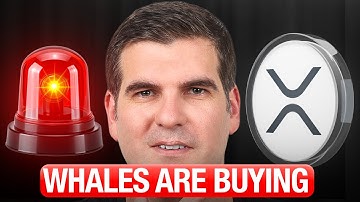 Ik zag dat walvissen XRP kochten terwijl JIJ in paniek raakte...