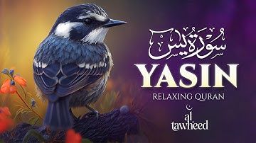 Surah Yaseen (Yasin) سورة يس | Relaxing Lofi Quran for Spiritual Tranquility | Al-Tawheed