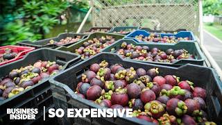 Why Mangosteen, The Viral TikTok Fruit, Is So Expensive | So Expensive | Business Insider