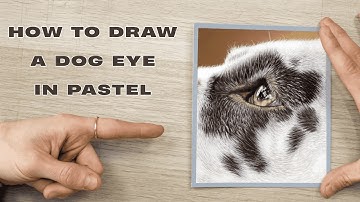 How to Draw a Dog’s Eye That Looks Alive