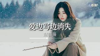 赵薇薇 - 爱边写边消失「我以为我能放下」【🎧AI高质音乐/拼音歌词 Eng Lyrics】