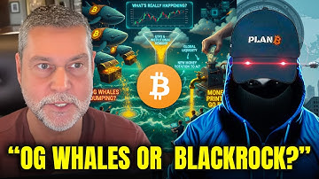 Did These OG Whales JUST RUIN the Entire Crypto Bull Market?! - Raoul Pal & PlanB