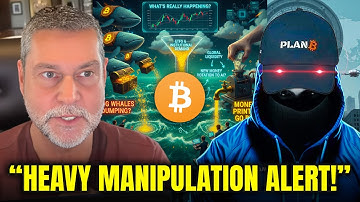 Did These OG Whales JUST RUIN the Entire Crypto Bull Market?! - Raoul Pal & PlanB