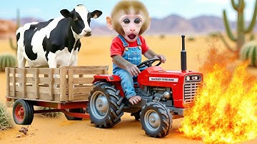 🐒🚜🔥Monkey Nana drives a tractor with the duckling and the puppy but faces a fuel tank fire incident