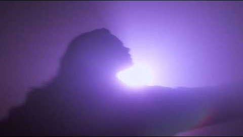 Licorice Fish - Fading (Official Music Video)