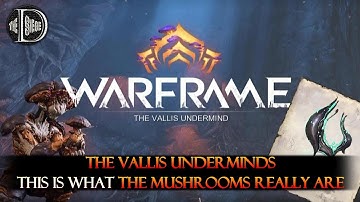 What the Mushrooms Really Are - NIGHTCAP & NOKKO