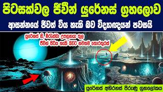 පිටසක්වල ජීවීන් යුරේනස් ග්‍රහලොව ආසන්නයේ ජීවත් විය හැකි බව විද්‍යාඥයන් පවසයි | Uranus' moon, Miranda