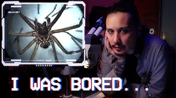 ... so I Put a Spider Under My Microscope.