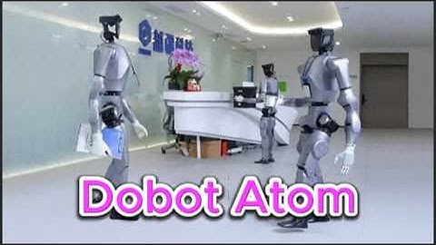 Dobot Atom: The First Humanoid Robot with Dexterous Manipulation and Straight-Knee Walking