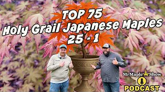 Holy Grail Japanese Maples Countdown: 25–1 | MrMaple Show Podcast