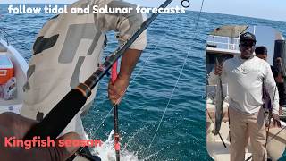 Kingfish season in Abu Dhabi | Use the tide charts @Blueboyocean1986